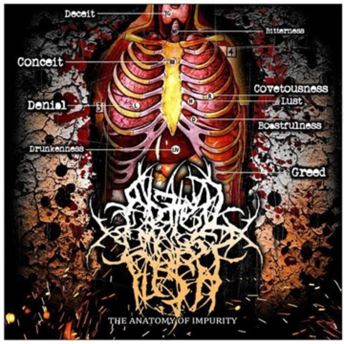 The Anatomy of Impurity album cover