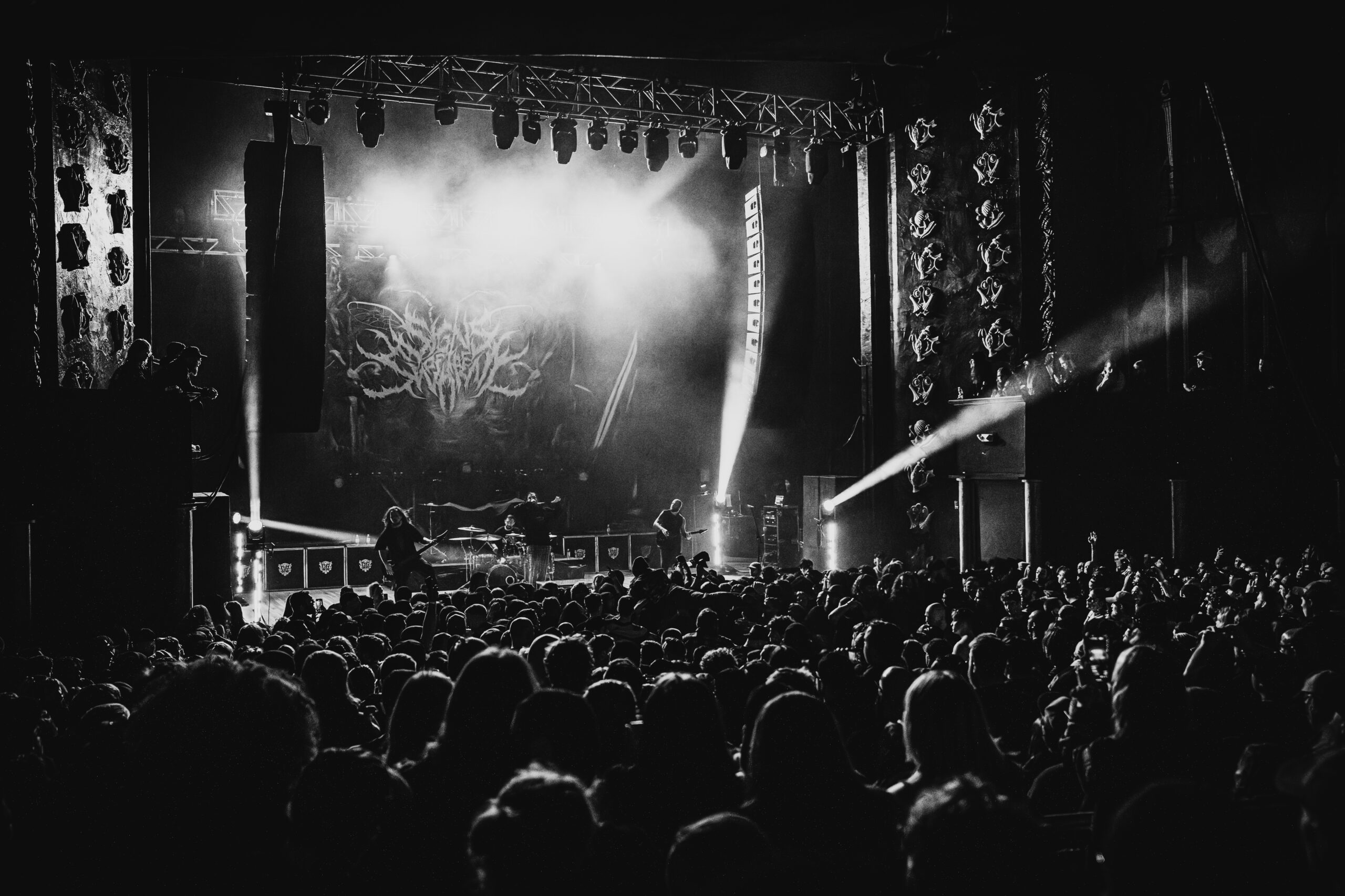 Signs of the Swarm photo by Zak DeFreze for HM Magazine