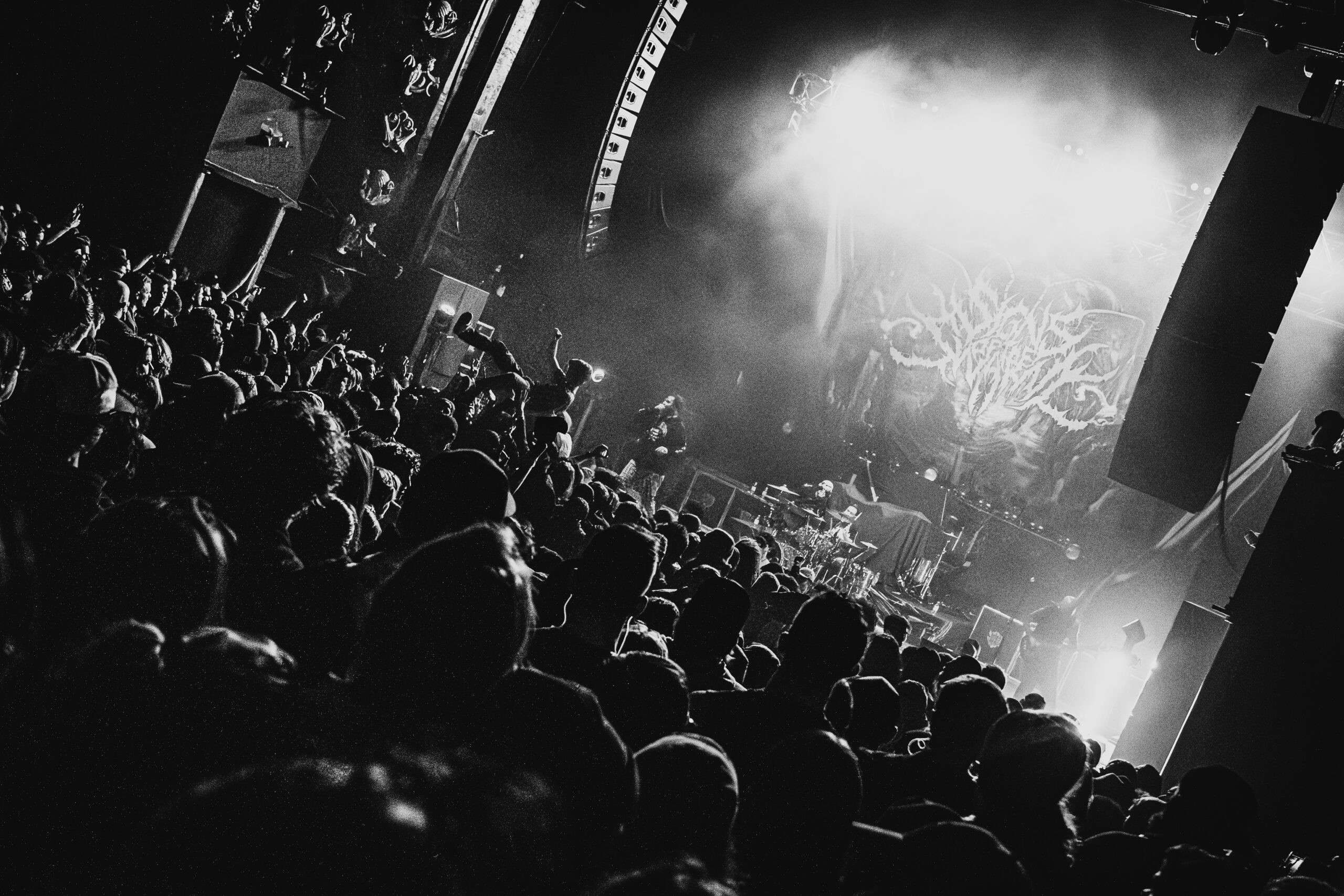 Signs of the Swarm photo by Zak DeFreze for HM Magazine