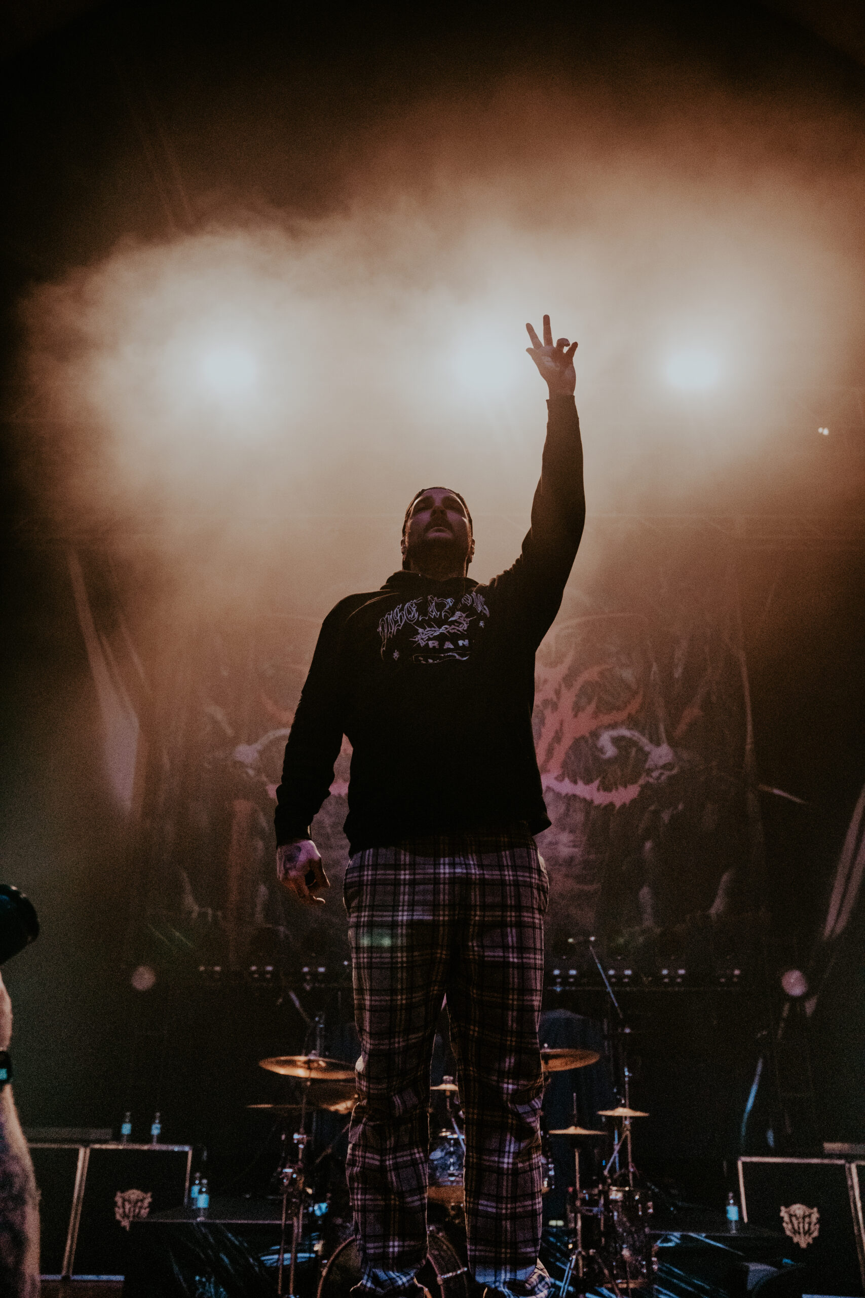 Signs of the Swarm photo by Zak DeFreze for HM Magazine