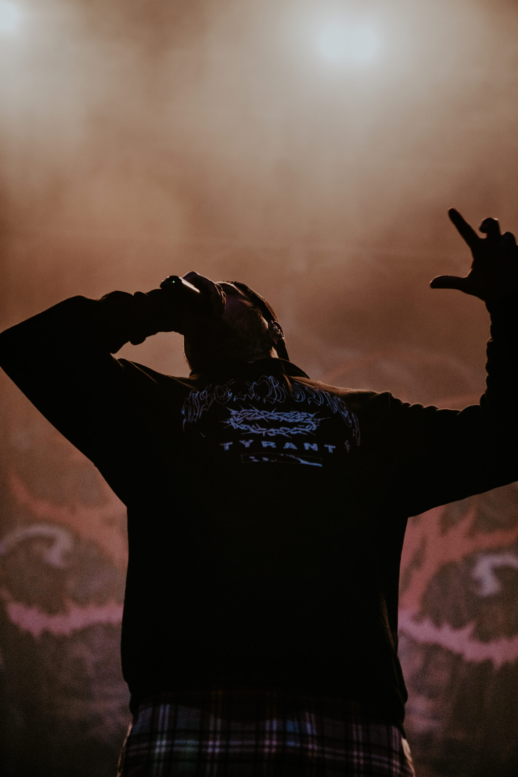 Signs of the Swarm photo by Zak DeFreze for HM Magazine