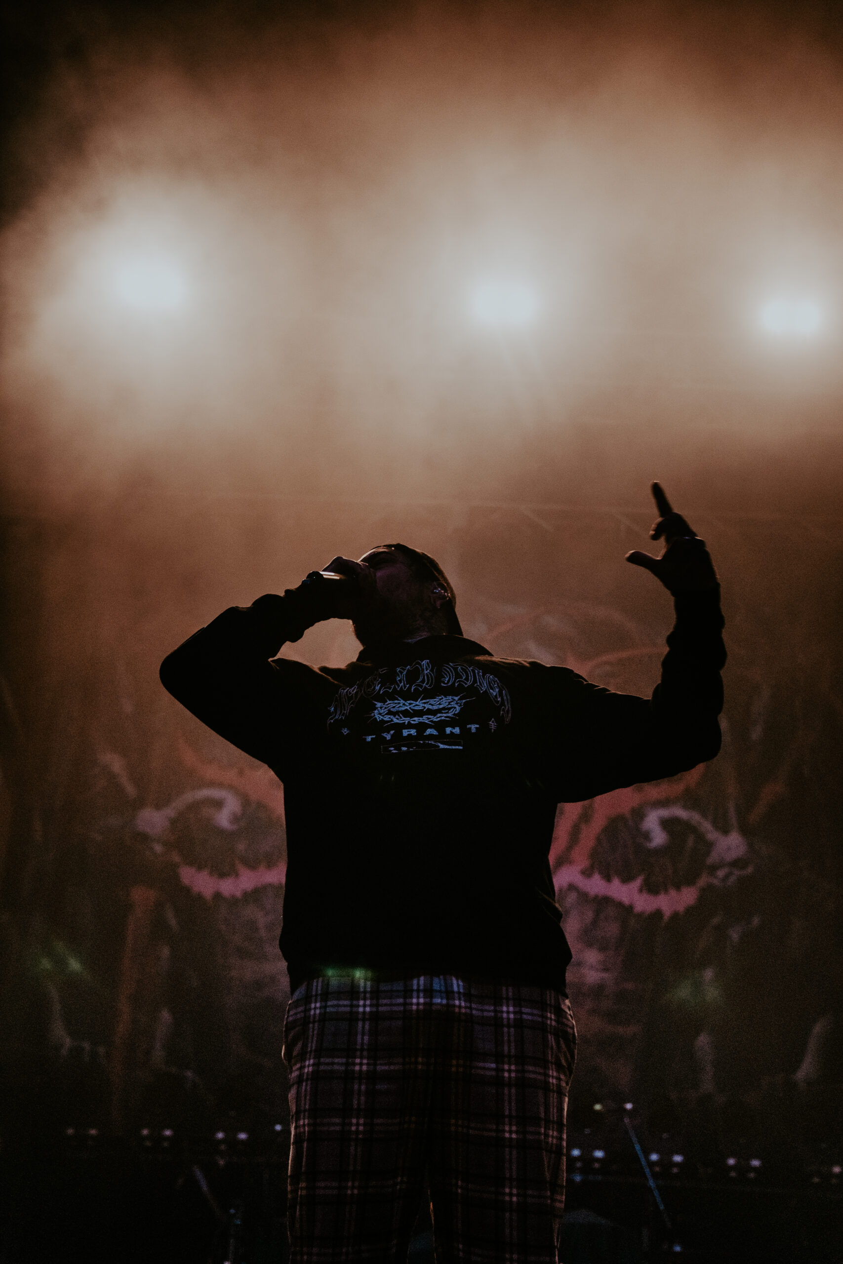 Signs of the Swarm photo by Zak DeFreze for HM Magazine