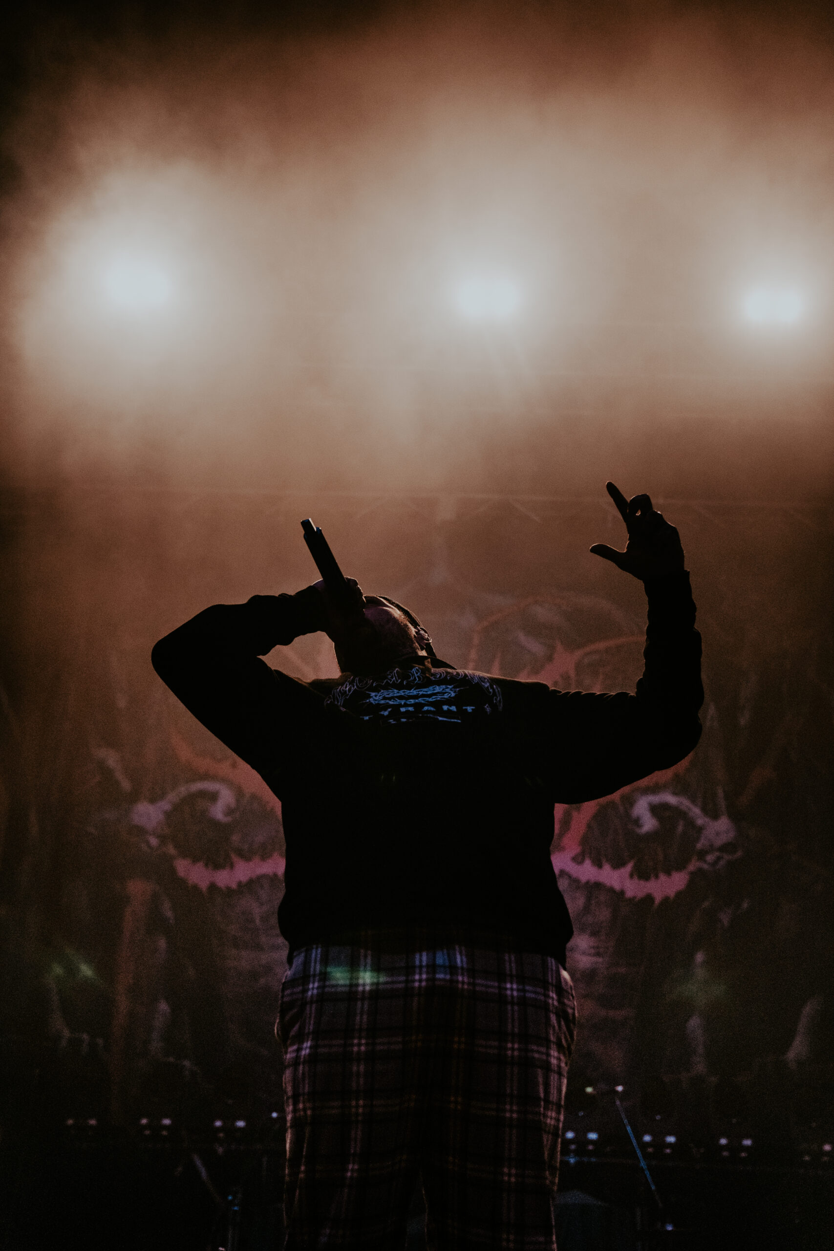 Signs of the Swarm photo by Zak DeFreze for HM Magazine