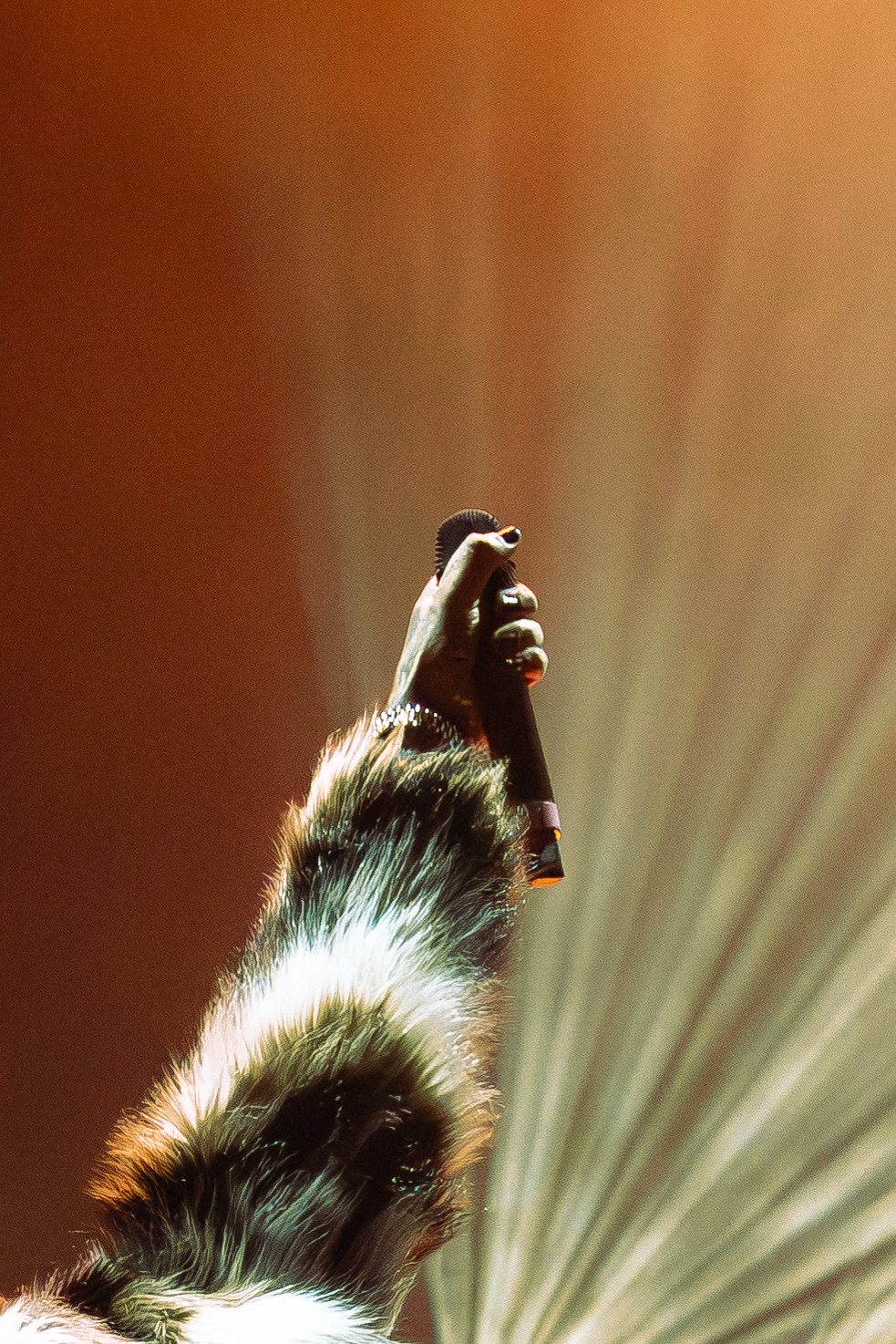 Beartooth photo by Annie Davenport for HM Magazine